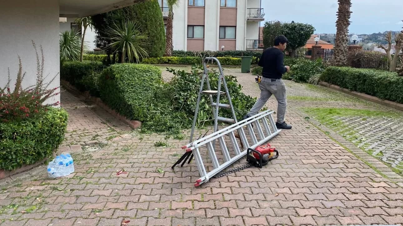 Peyzaj uygulamasından kare 18